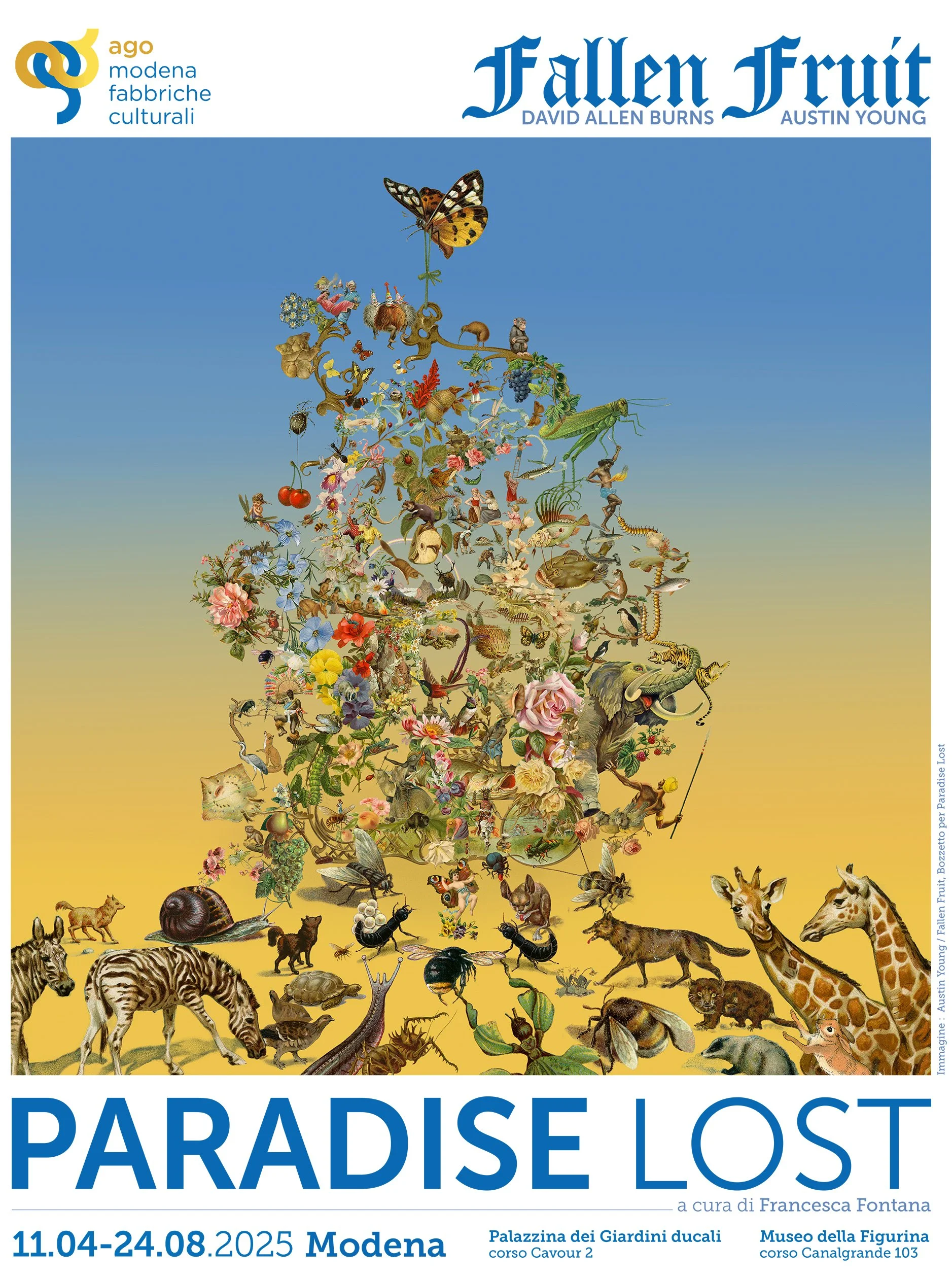 Paradise Lost | Austin Young